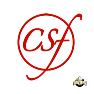 CSF nyeregalátétek